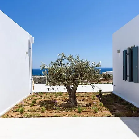 Willa Complex White And Rocks